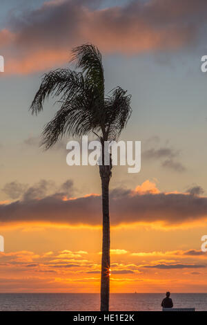 Sonnenuntergang in Kalifornien auf Coronado Island im Januar und zeigt eine einzelne Palm-Baum-Silhouette, mit einer Person Blick auf das Meer. Stockfoto