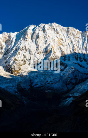 Aussicht auf die schneebedeckten Annapurna 1 north face bei Sonnenaufgang Stockfoto
