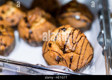 Schokolade beträufelt chocolate Chip Muffins auf dem Tablett Display in Bäckerei Stockfoto