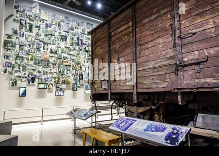 St. Saint Petersburg Florida, Florida Holocaust Museum, innen, Ausstellungsausstellung Sammlung Konzentrationslager Lager, FL161129090 Stockfoto
