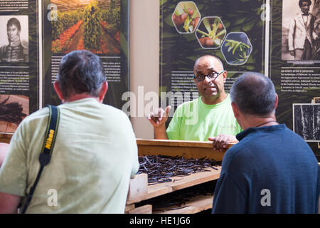 Vanille Anbau und Verarbeitung Tour Pro Vanille, Bras-Panon, Reunion Island Stockfoto