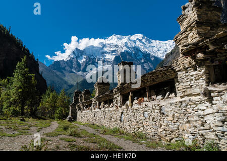 Der schneebedeckte Berg Annapurna 2 steigt oberhalb der oberen Marsyangdi-Tal und ein Mani-Mauer Stockfoto