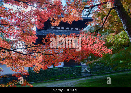 Herbstlaub in voller Farbe am Tempel Tofuku-Ji, Kyoto, Japan Stockfoto