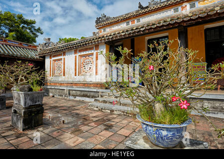 Bonsai im Can Chanh Palace (Palast der Zielgruppen). Kaiserstadt Hue, Vietnam. Stockfoto