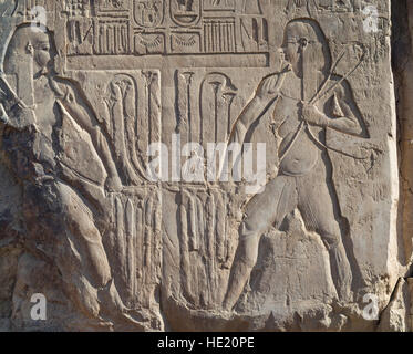 Nahaufnahme von der Kolosse von Memnon, Wächter, Memorial Tempel von Amenophis III, West Bank, Luxor Ägypten Stockfoto