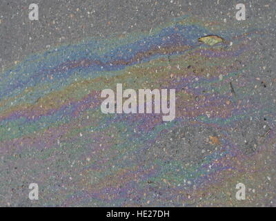 Ölpest auf Asphaltstraße Stockfoto