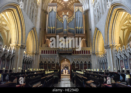 Wells Cathedral probt Chor für Evensong am Ostersonntag bei Wells Cathedral, große Kirchenschiff aus dem Chor durchsehen. Stockfoto