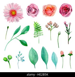 Aquarell Rosen Vektor. Rosa Blumen Clipart Vektor ...