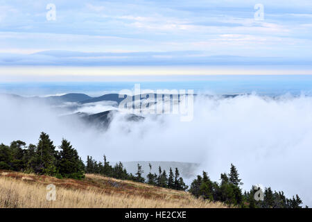 Niedrige weiße Wolken über dem fernen Waldhügel Sicht vom höchsten Berg der Jeseniky Berge Stockfoto