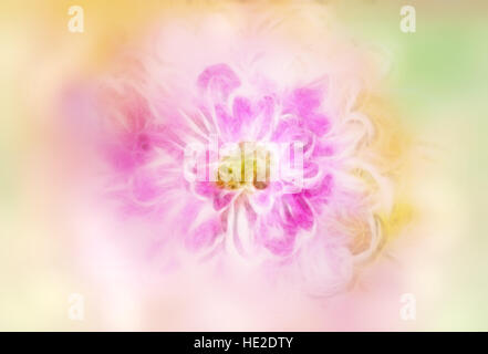 Aquarelle rosa Blüten abstrakt Hintergrund mit orangefarbenen und grünen Unschärfe Stockfoto