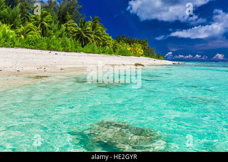 Tropischer Strand mit Palmen auf der Westseite von Rarotonga, Cook-Inseln Stockfoto