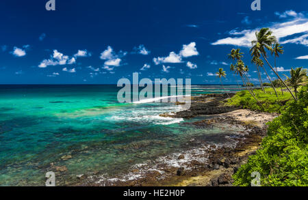 Tropischen Vulkanstrand auf Samoa-Insel mit vielen Palmen, Südpazifik Stockfoto