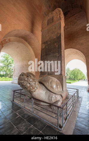 Steinstatue Schildkröte Shen Gong Sheng De Stele Pavillon Heiligen Weg der Ming Gräber Changping, Beijing, China. Stockfoto