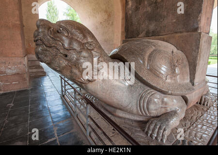 Steinstatue Schildkröte Shen Gong Sheng De Stele Pavillon Heiligen Weg der Ming Gräber Changping, Beijing, China. Stockfoto