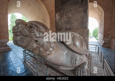 Steinstatue Schildkröte Shen Gong Sheng De Stele Pavillon Heiligen Weg der Ming Gräber Changping, Beijing, China. Stockfoto