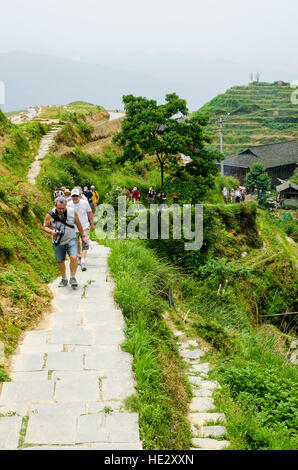 Wandern Wanderer Longsheng Reisterrassen Longji Dragon Wirbelsäule Reisfelder Felder am Hang Longsheng, Guilin, Guangxi, China. Stockfoto