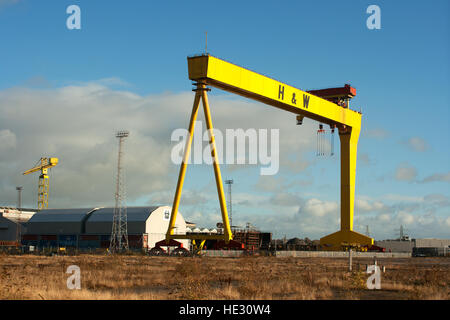 Einer der zwei großen Schiffbau Krane benannte Sampson und Goliath an Harland und Wolff Werft Belfast. Heimat der Titanic Stockfoto