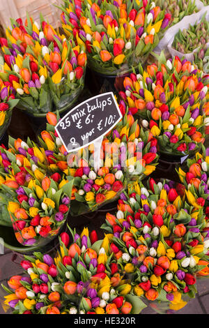 AMSTERDAM, Niederlande - Tulpen zum Verkauf am Blumenmarkt. Stockfoto