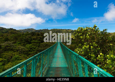 Hängebrücke über den Baumkronen der Bäume in Monteverde, Costa Rica, Mittelamerika Stockfoto