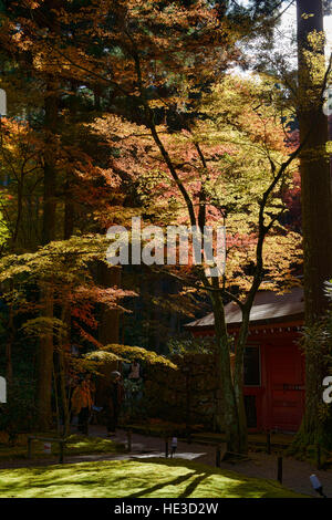 Herbstlaub im Sanzen-in Tempel, O'hara, Kyoto Präfektur, Japan Stockfoto