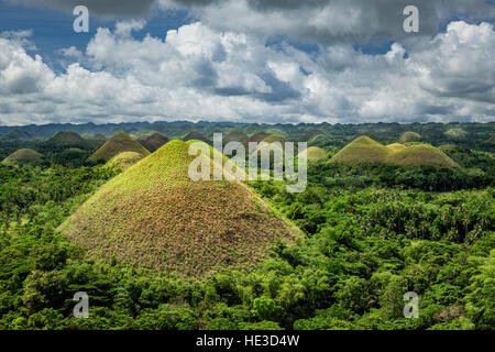 Chocolate Hills geologische Denkmal auf Bohol Island, Philippinen. Stockfoto