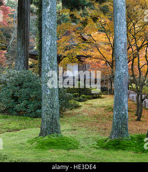 Ojo 椅子-im Sanzen-in Tempel, O'hara, Kyoto Präfektur, Japan Stockfoto