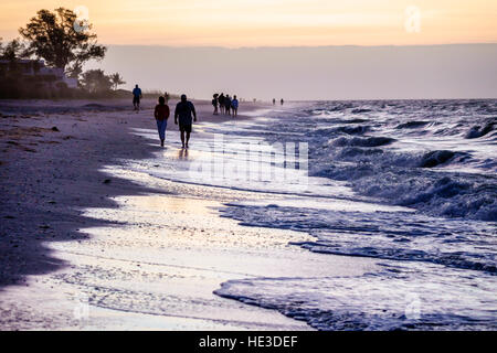 Florida Sanibel Island, Morgendämmerung, Sonnenaufgang, Surfen, Golf von Mexiko, Schalenjäger, Strandräuber, FL161129297 Stockfoto