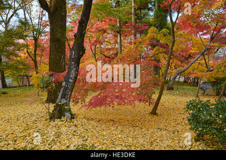 Die Magie des Herbstes am Eikan-Do-Tempel, Kyoto, Japan Stockfoto