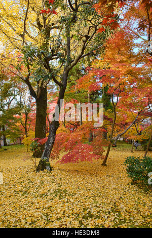 Die Magie des Herbstes am Eikan-Do-Tempel, Kyoto, Japan Stockfoto