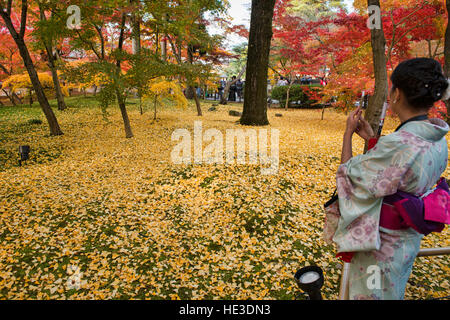 Die Magie des Herbstes am Eikan-Do-Tempel, Kyoto, Japan Stockfoto