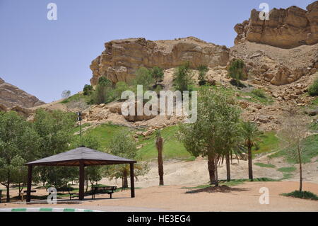 Mubazzarah Dam und Al Ain Vereinigte Arabische Emirate warten vergießen Roofdeck Parkbäumen Kalkfelsen Stockfoto