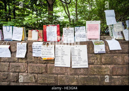 Biografien Buchungen Bios der zukünftigen Bräute in Peoples Park Shanghai, China. Stockfoto