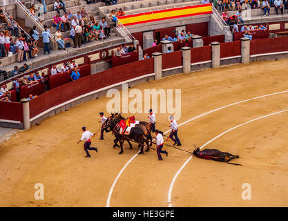 Spanien, Madrid, Stierkampf Novillada Picada in der Stierkampfarena Plaza de Toros de Las Ventas. Stockfoto