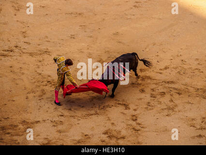 Spanien, Madrid, Stierkampf Novillada Picada in der Stierkampfarena Plaza de Toros de Las Ventas. Stockfoto