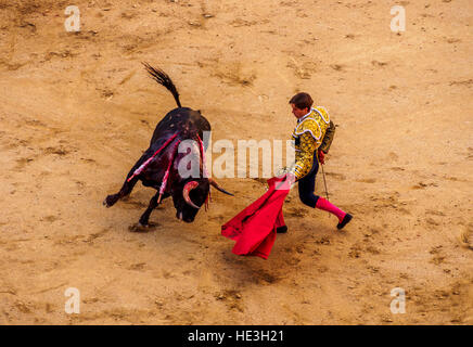 Spanien, Madrid, Stierkampf Novillada Picada in der Stierkampfarena Plaza de Toros de Las Ventas. Stockfoto