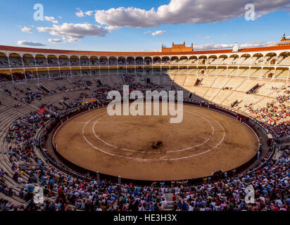 Spanien, Madrid, Stierkampf Novillada Picada in der Stierkampfarena Plaza de Toros de Las Ventas. Stockfoto