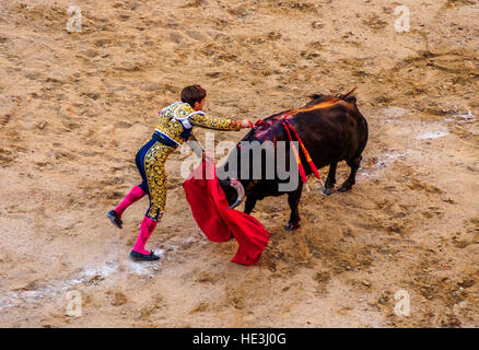 Spanien, Madrid, Stierkampf Novillada Picada in der Stierkampfarena Plaza de Toros de Las Ventas. Stockfoto