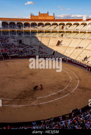 Spanien, Madrid, Stierkampf Novillada Picada in der Stierkampfarena Plaza de Toros de Las Ventas. Stockfoto