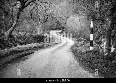 Alten Stil vorbei Ort post Marker auf einspurigen Straße verdrehen durch Wald, Mull of Kintyre, Argyll, Schottland. UK Stockfoto