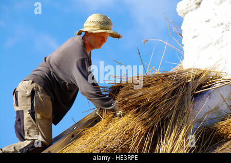 Auf Anglesey Thatching Dach Stockfoto