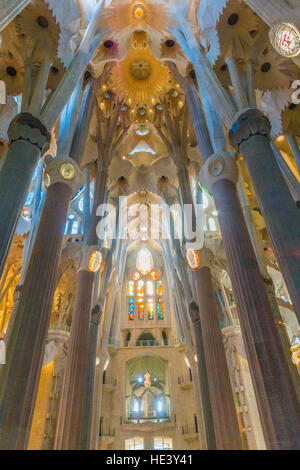 Die Spalten der das Innere der Sagrada Familia in Barcelona, Spanien sehen aus wie ein Wald aus konkreten Bäumen. Stockfoto