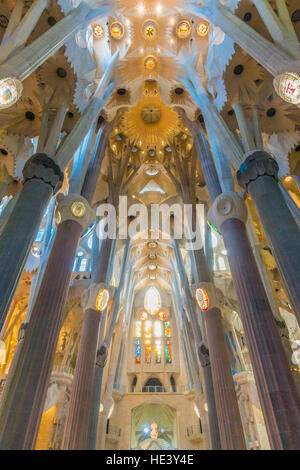 Die Spalten der das Innere der Sagrada Familia in Barcelona, Spanien sehen aus wie ein Wald aus konkreten Bäumen. Stockfoto