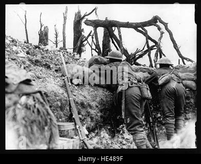 Eine Fotografie oder ein historisches Bild, das innerhalb von 100 Metern von Thiepval Village aufgenommen wurde, das während des Ersten Weltkriegs stark betroffen war. Das Gebiet ist bedeutend für seine Rolle in der Schlacht an der Somme, in der viele Soldaten ums Leben kamen. Stockfoto