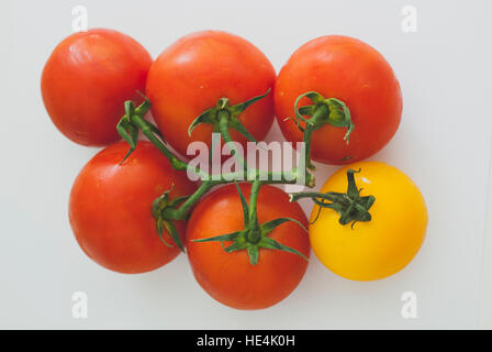 Rote und gelbe Tomaten auf weißem Hintergrund Stockfoto