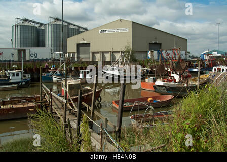 Fisher-Flotte, Kings Lynn, West Norfolk, England UK Stockfoto