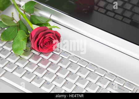 Eine rote Rose auf einem Laptopcomputer Stockfoto