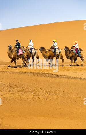 Chinesische Touristen auf Kamelen in der Wüste am Shapotou Scenic Area, Zhongwei, Ningxia, China Stockfoto