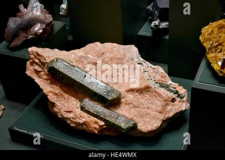 Gesteine und Mineralien im Smithsonian natürliche Museum in DC Stockfoto