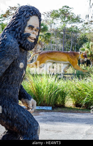 Florida The Everglades, Tamiami Trail, Skunkape Headquarters, Panther, Statue, FL161129330 Stockfoto