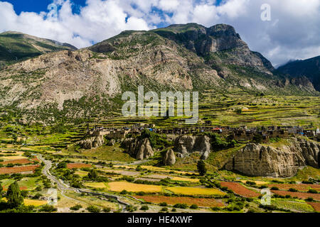 Blick auf das Dorf Manang und der Agrarlandschaft aus dem oberen Marsyangdi Tal mit Terrasse-Felder Stockfoto